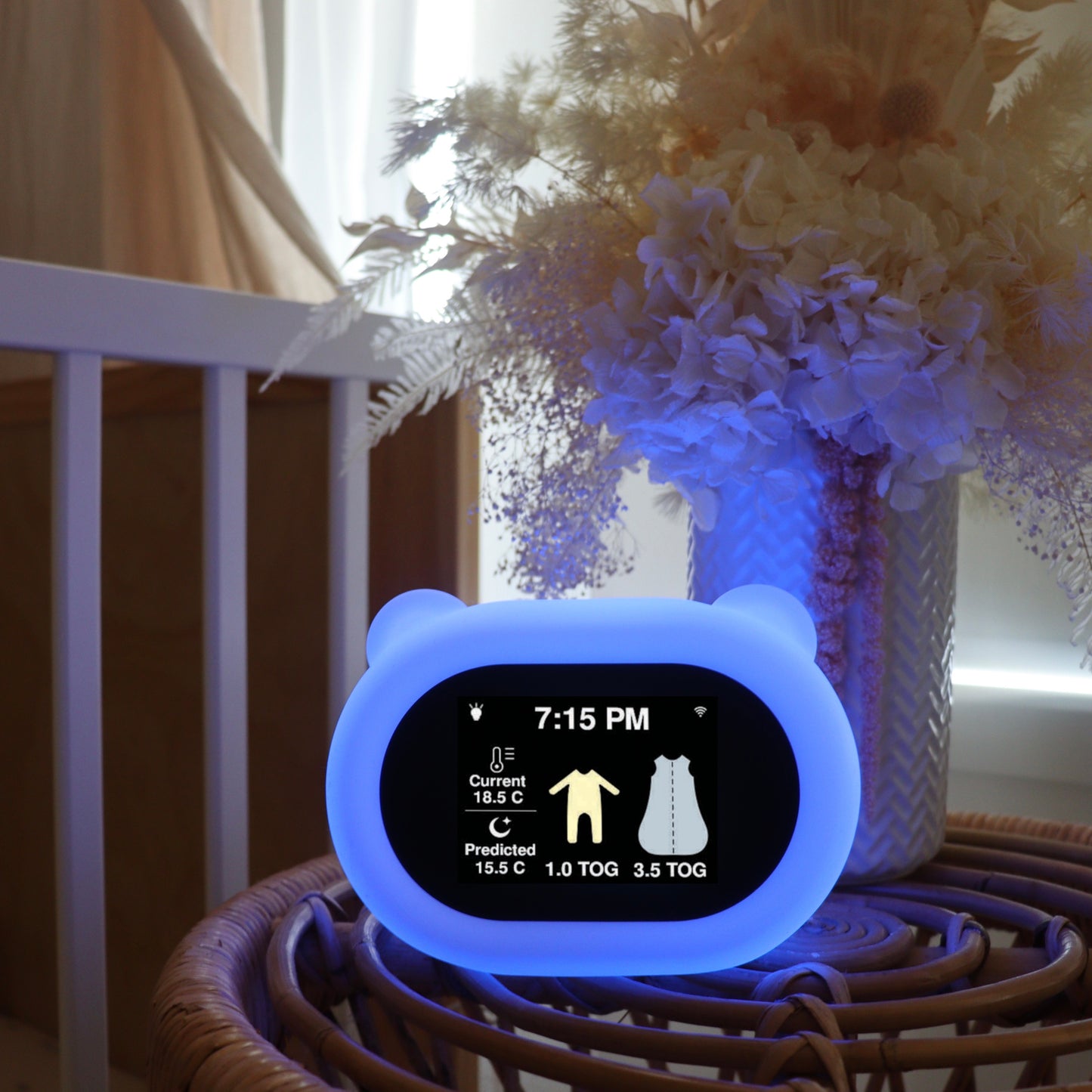 Baby Sleepwear Guide, Night Light and Thermometer