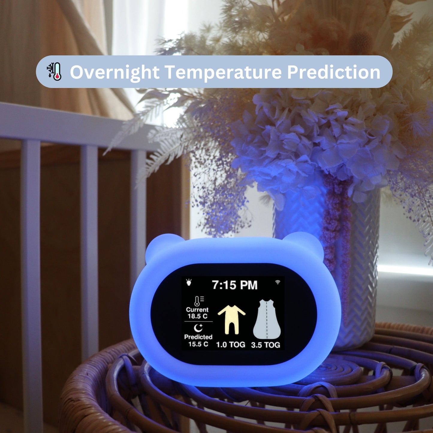 Baby Sleepwear Guide, Night Light and Thermometer